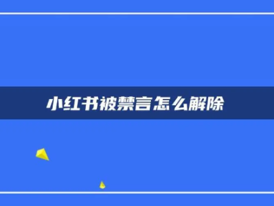 小红书评论禁言如何解除？评论被限制多久能恢复？