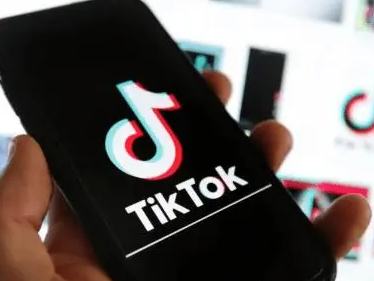 TikTok Shop东南亚跨境店个体户能入驻吗？入驻有何要求？